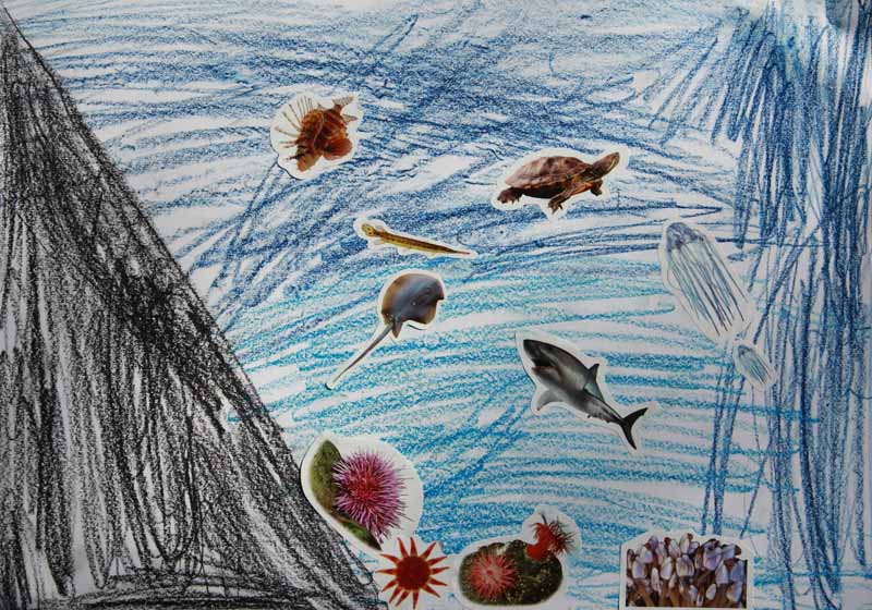 Zeichnung Aquarium